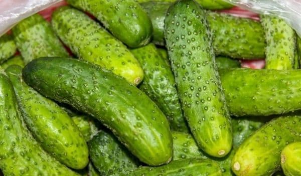Alertă alimentară: tone de castraveţi contaminaţi au fost retrase de pe piaţă