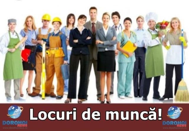 Ofertă AJOFM Botoșani: 1742 locuri de muncă disponibile. Vezi lista completă!
