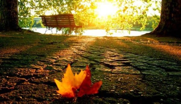 Vremea în septembrie 2018. Prognoza meteo anunță cum va fi la toamnă