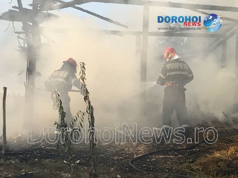 Furaje distruse de incendiu la Cobâla! Pompierii dorohoieni intervenit pentru stingere - FOTO