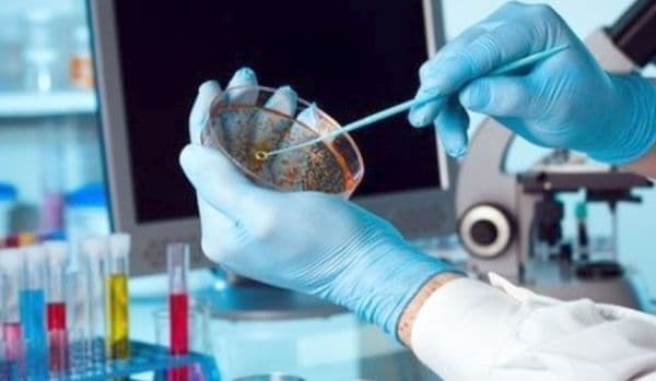 O nouă superbacterie rezistentă la toate antibioticele se răspândește în spitale