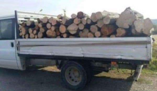 Transport ilegal de lemne confiscat de poliţiştii din Dorohoi