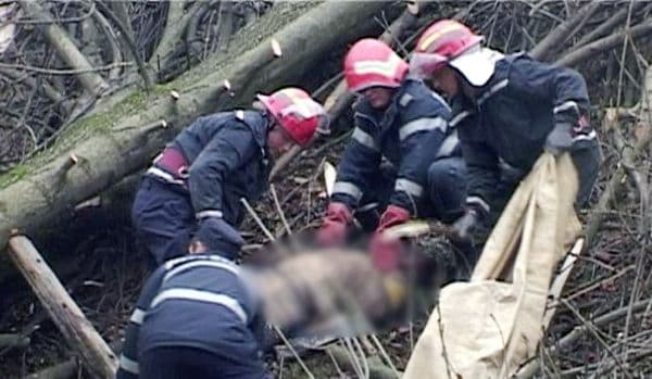 TRAGIC: Bărbat decedat după ce un copac a căzut peste el într-o pădure de pe teritoriul comunei Pomârla