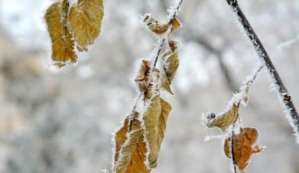 România, lovită de un val de AER POLAR! Vremea, schimbări DRAMATICE, răcire accentuată!