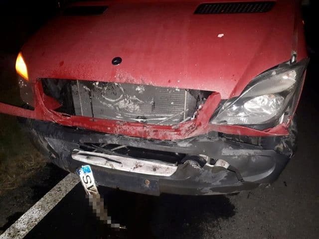 Autoutilitară puternic avariată după ce a izbit un porc mistreț pe drumul Dorohoi – Darabani - FOTO