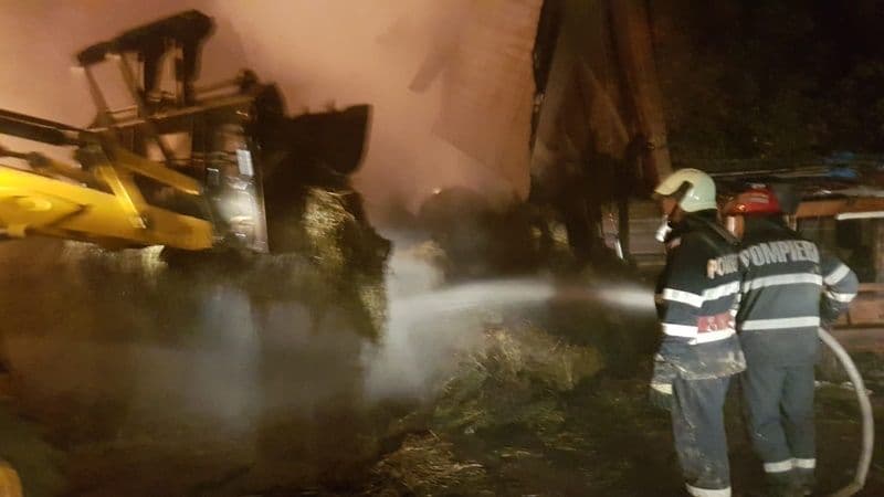 Incendiu uriaș la Carasa! Pompierii dorohoieni luptă de peste șase ore cu focul - FOTO