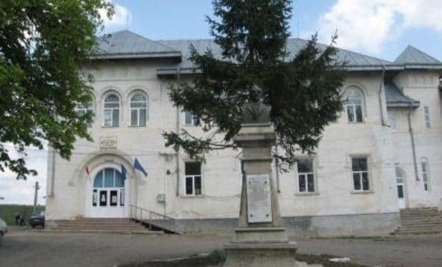 Liceul Teoretic „Anastasie Bașotă” Pomârla organizează licitație de masă lemnoasă. Vezi detalii!