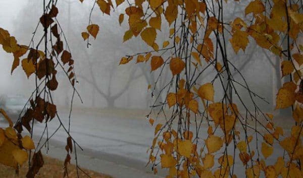 Toamna îşi arată colţii. Vremea se schimbă RADICAL. Temperaturile scad dramatic