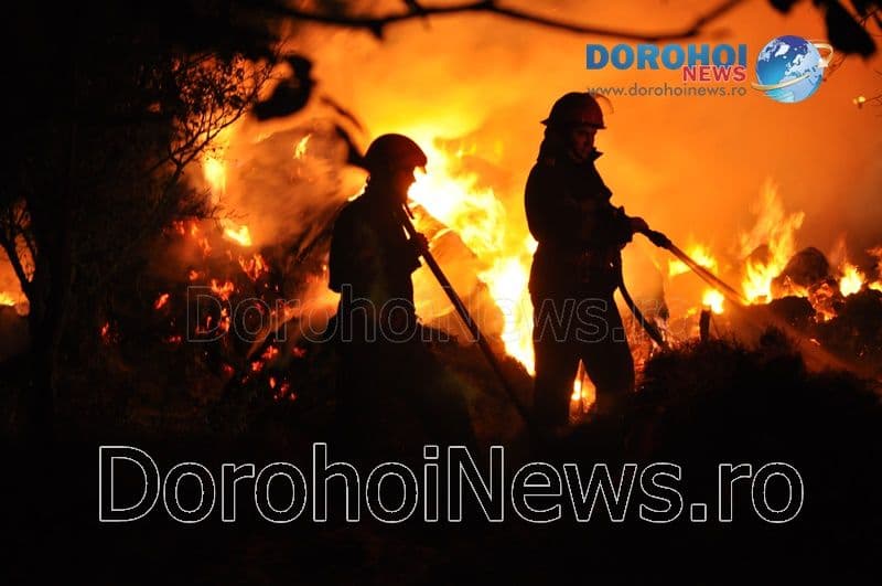 Peste patru ore de intervenție la Dragalina! Incendiul a fost provocat intenționat