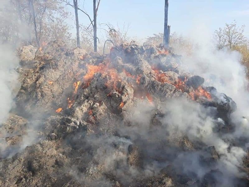 90 de tone de furaje distruse într-un incendiu, la Bobulești - FOTO