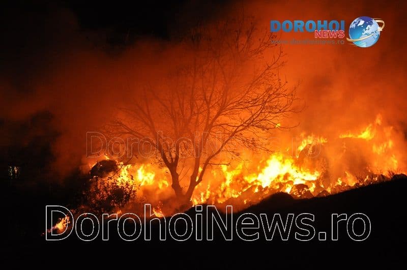 SVSU Dorohoi: În atenția celor care dețin depozite de furaje!