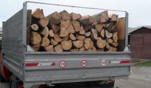 Tânăr prins de polițiștii din Dorohoi că transporta lemne fără aviz