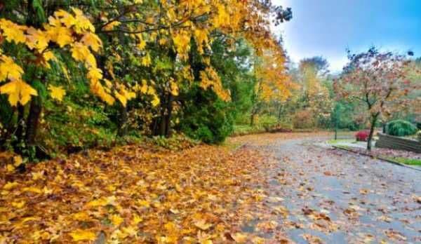 De luni se schimbă vremea - Prognoză meteo noiembrie