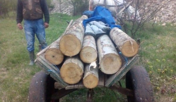 Căruță plină cu lemne confiscată de polițiști la Tudora