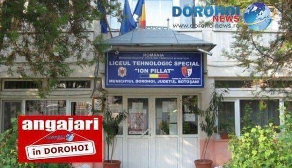Școala „Ion Pillat” Dorohoi organizează concurs pentru două posturi de îngrijitor și un post de șofer. Vezi detalii!