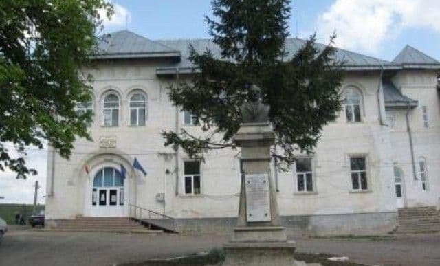 Liceul Teoretic „Anastasie Bașotă” Pomârla organizează licitație de masă lemnoasă. Vezi detalii!