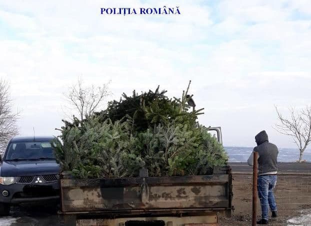 Brazi confiscați după mai multe controale efectuate de polițiștii de ordine publică