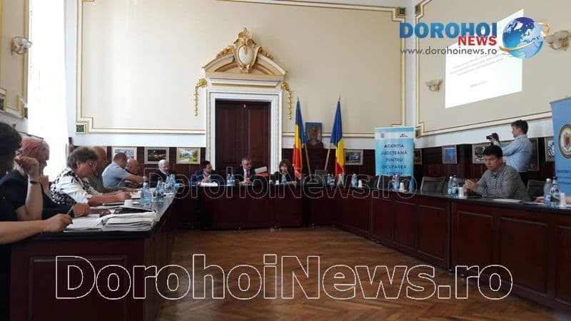Campanie Dorohoi_05
