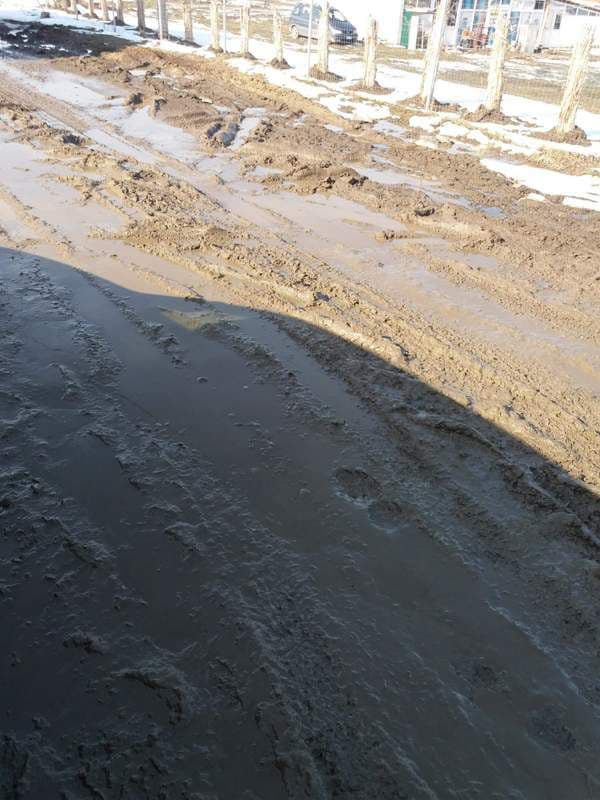strada Oituz Dorohoi (3)