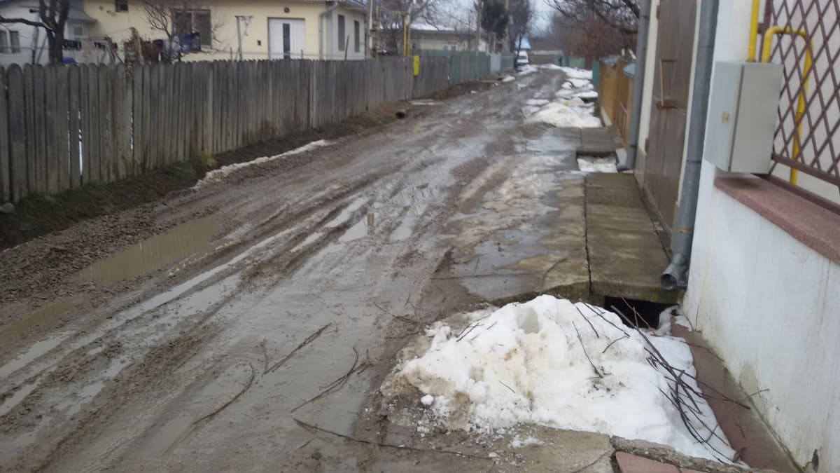 Dorohoi strada Hatman Sendrea (3)