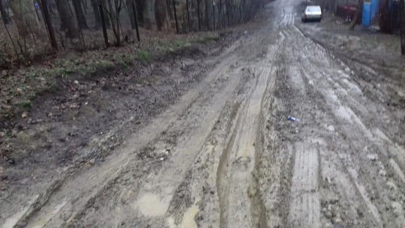 strada Petrocici Dorohoi 10