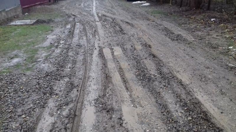 strada Petrocici Dorohoi 14