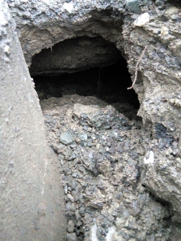 strada Dima Grigore Dorohoi (7)