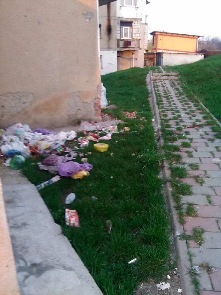 Dorohoi natura moarta05