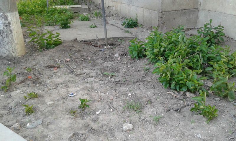 parcare Dorohoi 02
