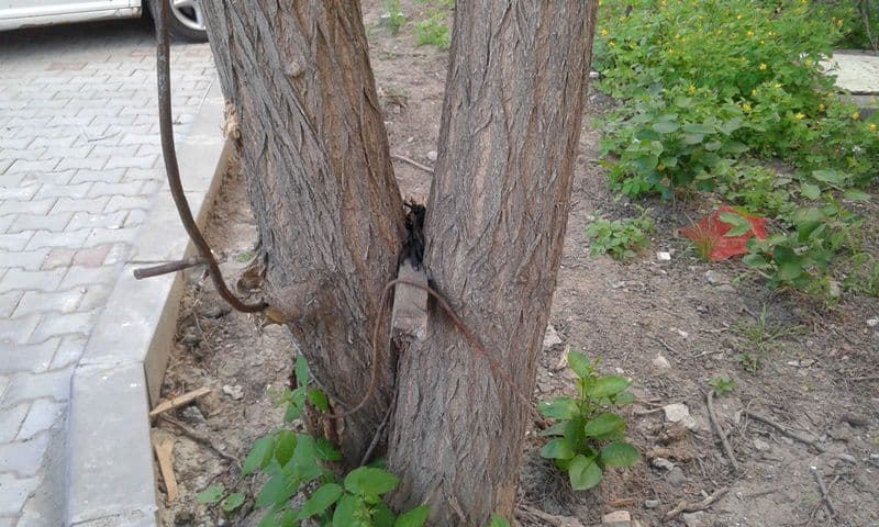 parcare Dorohoi 06