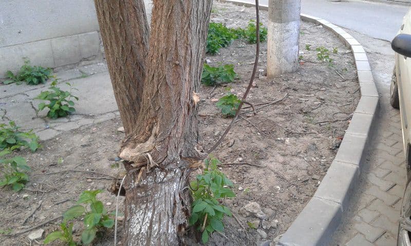 parcare Dorohoi 07