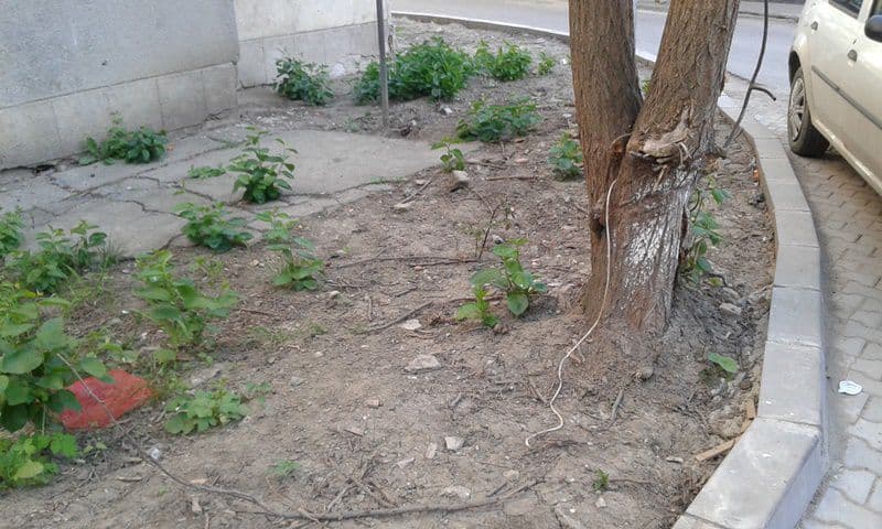 parcare Dorohoi 08