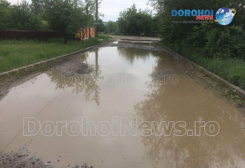 Masina suspendata_04