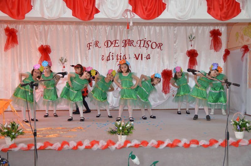 fir de martisoe 06