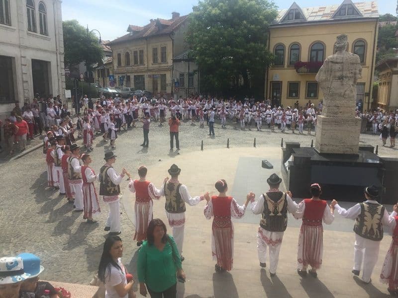 Mugurelul Margineanca la Slatina_ (10)