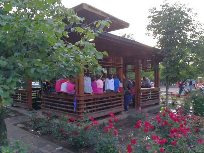folk dorohoi (4)