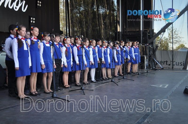 ZMD Voces_05