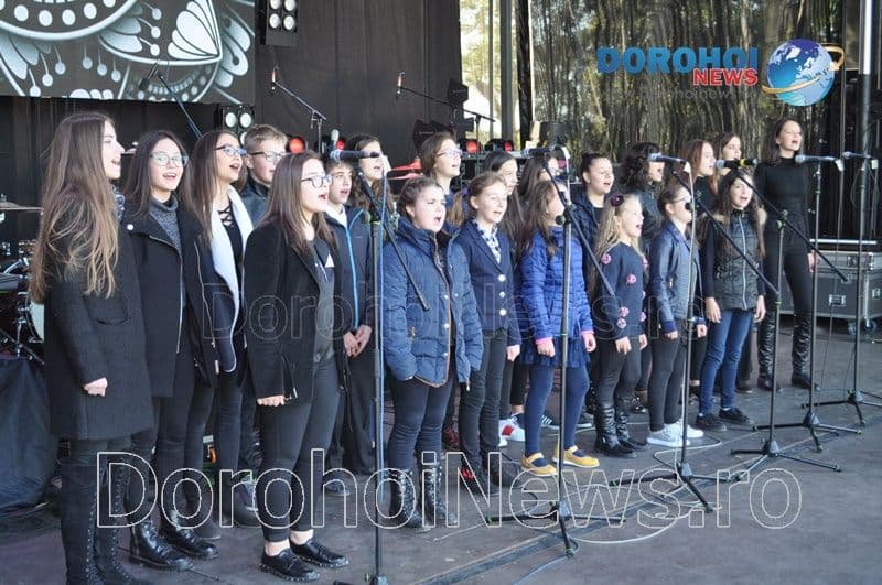 ZMD Voces_11