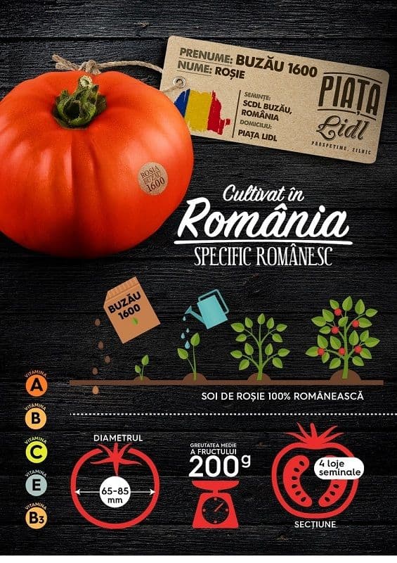 Rosia-Buzau1600