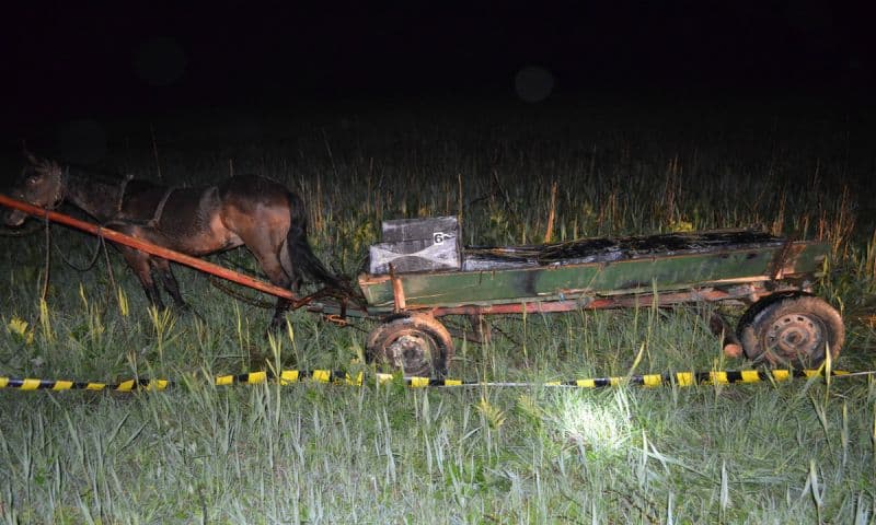 Contrabandist oprit cu focuri de arma (6)