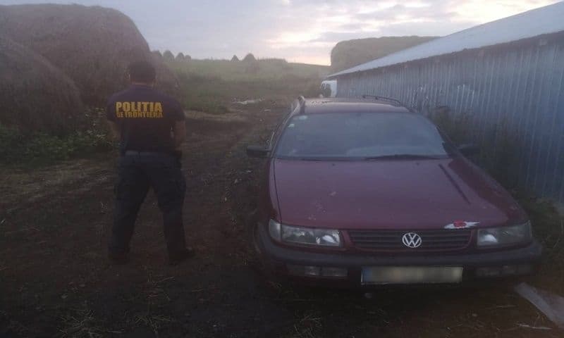 tigari confiscate 03