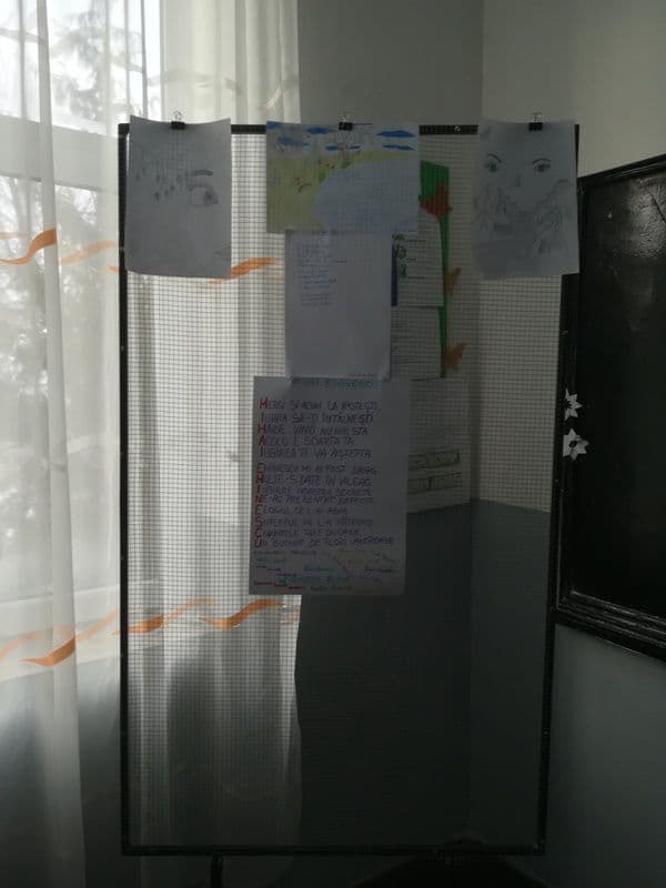 eminescu sarbatorit la Smirdan (6)
