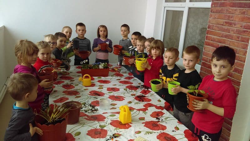 gradinita 10 dorohoi 14