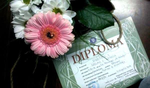 Diploma_ONS_Rebeca Gelan