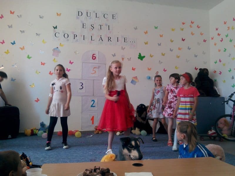Activitate Braesti_12