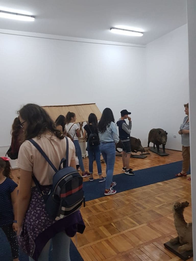Scoala de vara_14
