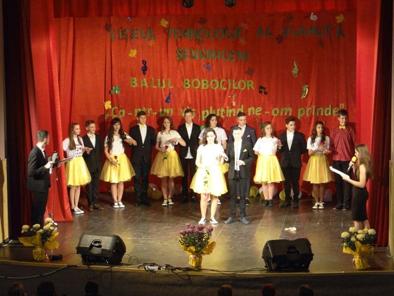 DSC03527
