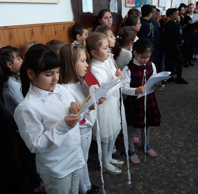 Activitate Scoala Braesti 03
