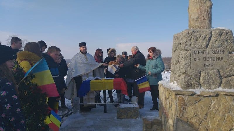 Pui de romanas 01