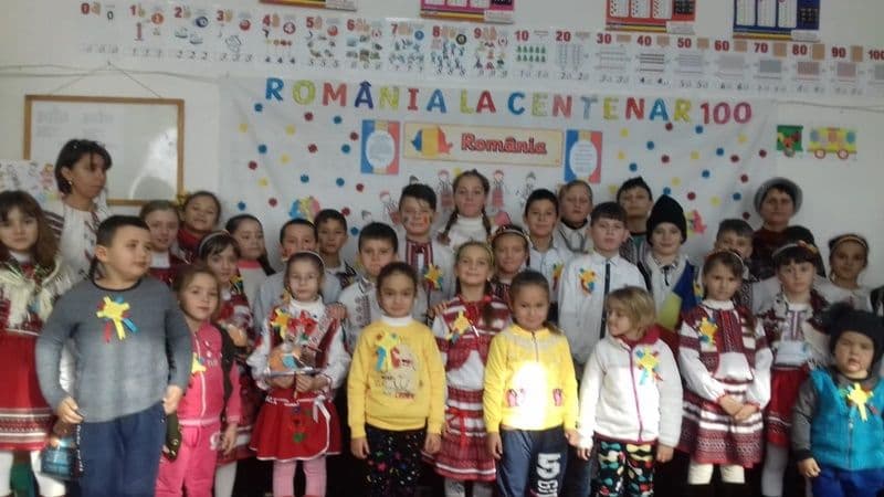 Pui de romanas 02